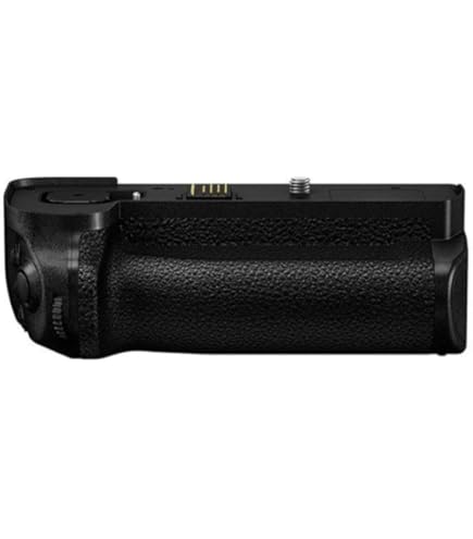 Amazon.com : Panasonic Authentic LUMIX G9 Vertical Battery